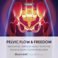 Pelvic Flow & Freedom